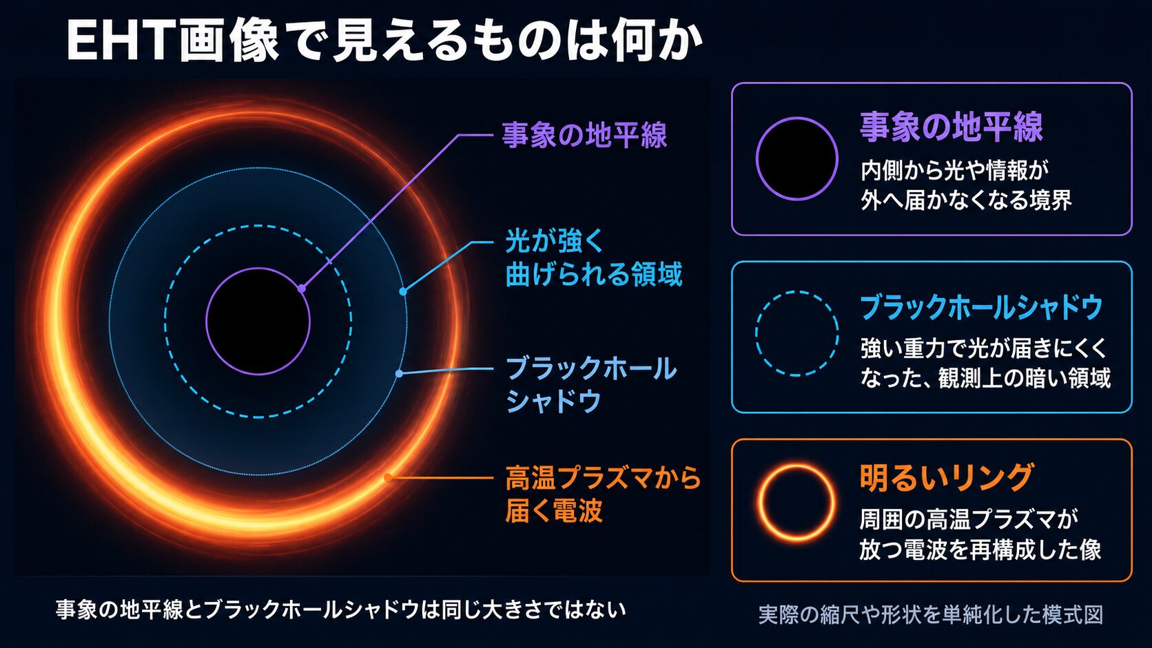 事象の地平線・ブラックホールシャドウ・明るいリングの違いを示す模式図