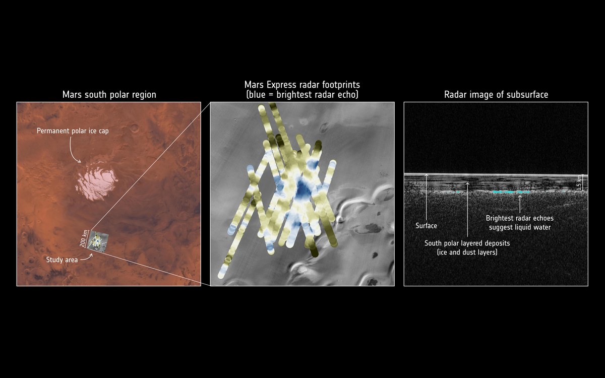 Mars ExpressのMARSISが観測した火星南極地下の明るいレーダー反射