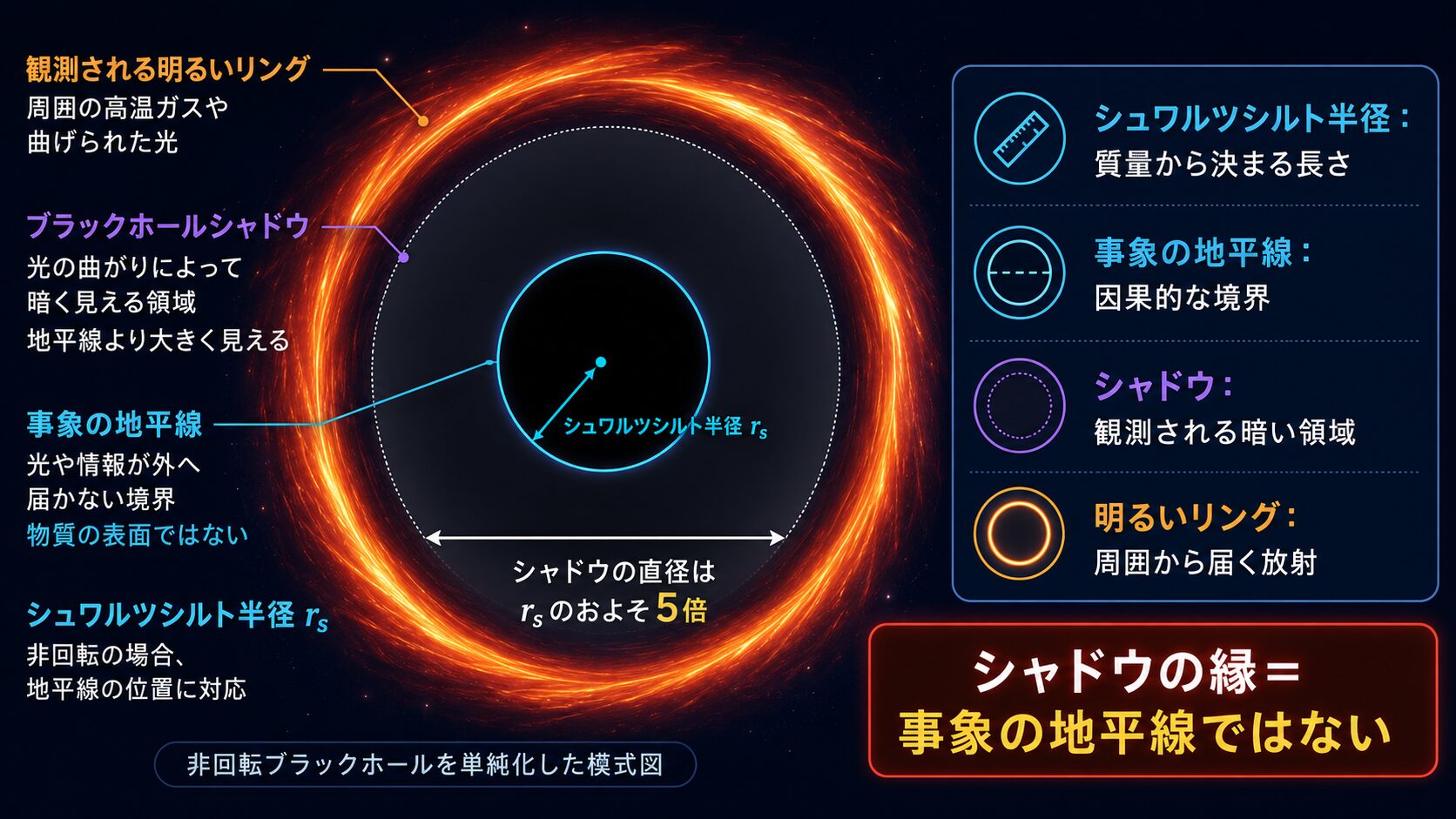 シュワルツシルト半径、事象の地平線、ブラックホールシャドウ、明るいリングの違いを示した図解